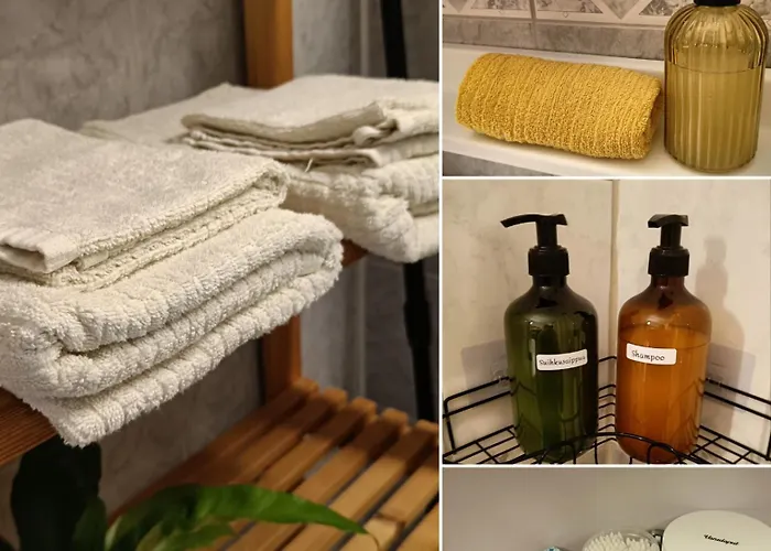 Linnaloft - Viihtyisae Asunto Linnan Vieressae Omalla Sisaeaenkaeynnillae Daire Hämeenlinna